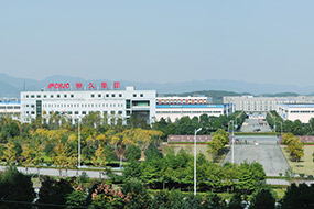 关于Z6尊龙凯时
